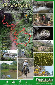 sendero El Aceituno yuscaran