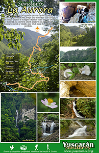 sendero El Quetzal yuscaran